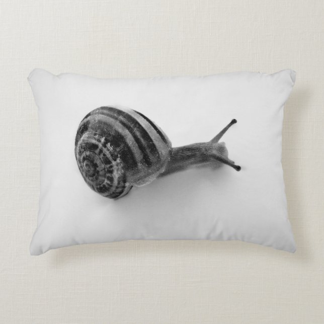 Almohada con acento (Anverso)
