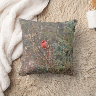 Almohada con Cardenal Macho Rojo en Setos de Forsy
