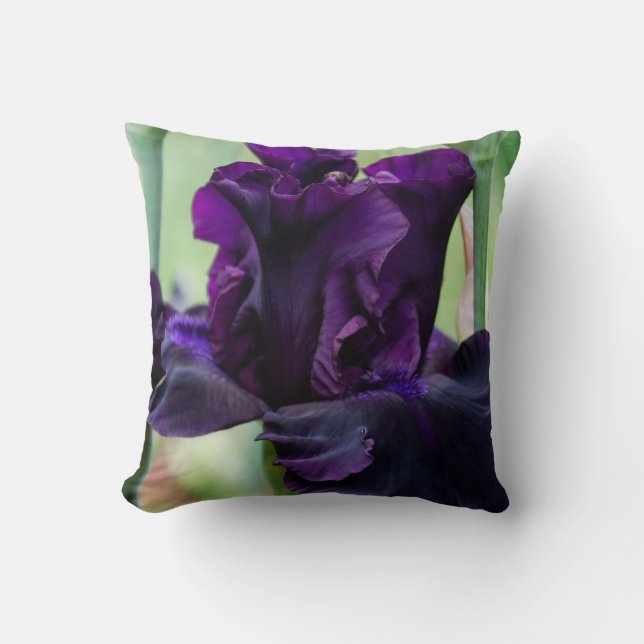 Almohada con el iris que usted debe tocar (Anverso)