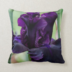Almohada con el iris que usted debe tocar
