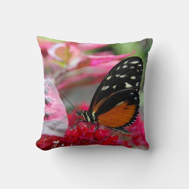 Almohada con foto de mariposa naranja y negra sobr (Anverso)