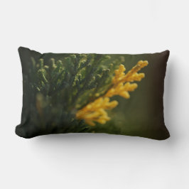 Almohada con foto de planta verde y amarilla en pr