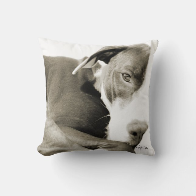 almohada con fotografía sepia de pit bull soñolien (Anverso)