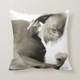 almohada con fotografía sepia de pit bull soñolien
