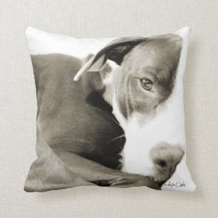 almohada con fotografía sepia de pit bull soñolien