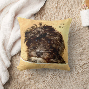 Almohada con texto de perro Schnoodle