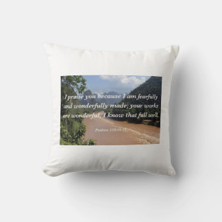 Almohada con verso biblia