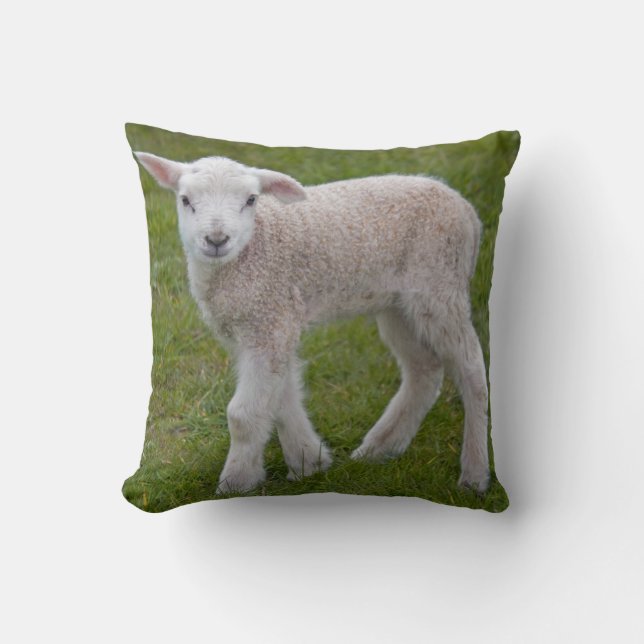 Almohada Corderito (Anverso)