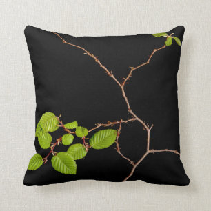 almohada coreana de los bonsais del Hornbeam