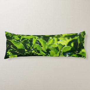 almohada corporal de hojas verdes frescas de prima