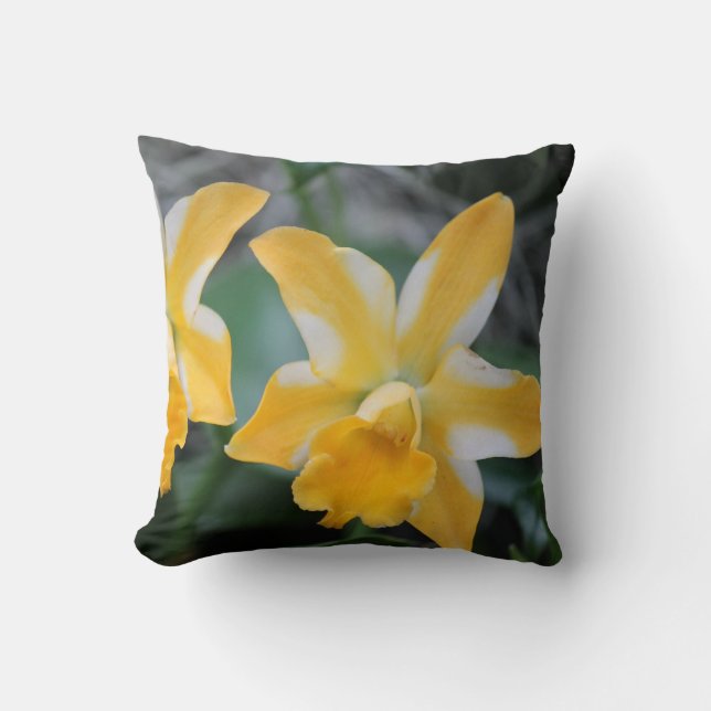 Almohada cuadrada amarilla y blanca de orquídea (Anverso)