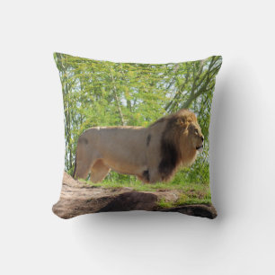 Almohada cuadrada del Rey de la Selva (León)