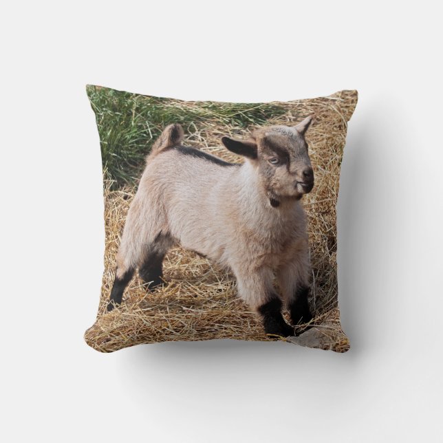 Almohada Cuidadosa (Anverso)