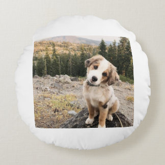 almohada cute dogii