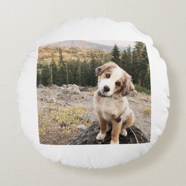 almohada cute dogii (Anverso)