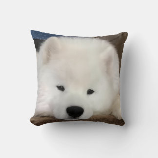 Almohada de 16 x 16" Samoyedo dormilón