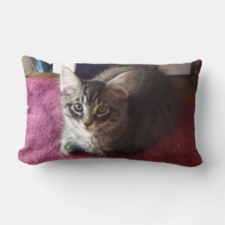 Almohada de 2 lados de gatito