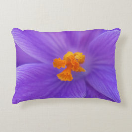 Almohada de acento