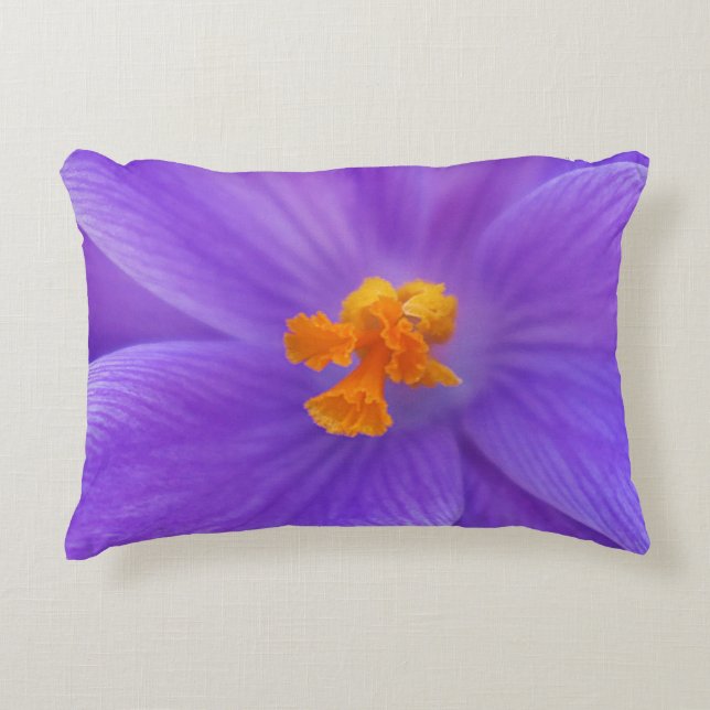 Almohada de acento (Anverso)