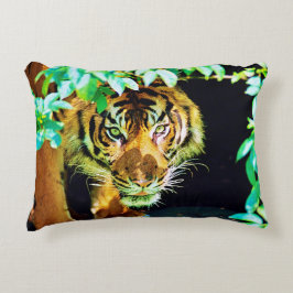 Almohada de acento