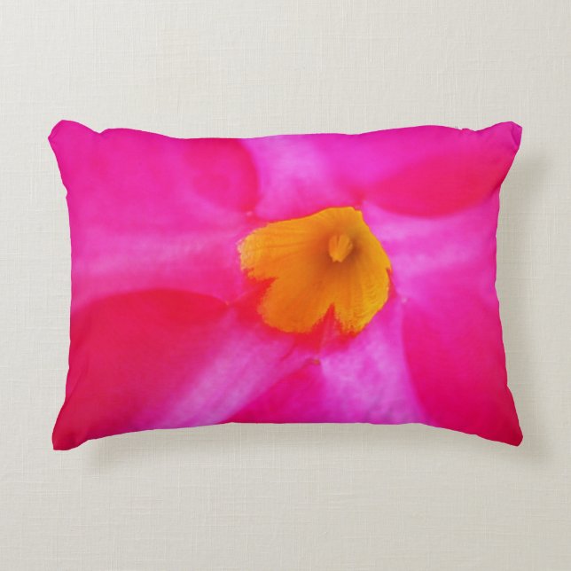 Almohada de acento (Anverso)