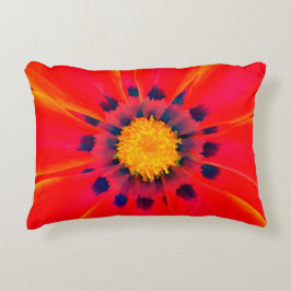Almohada de acento