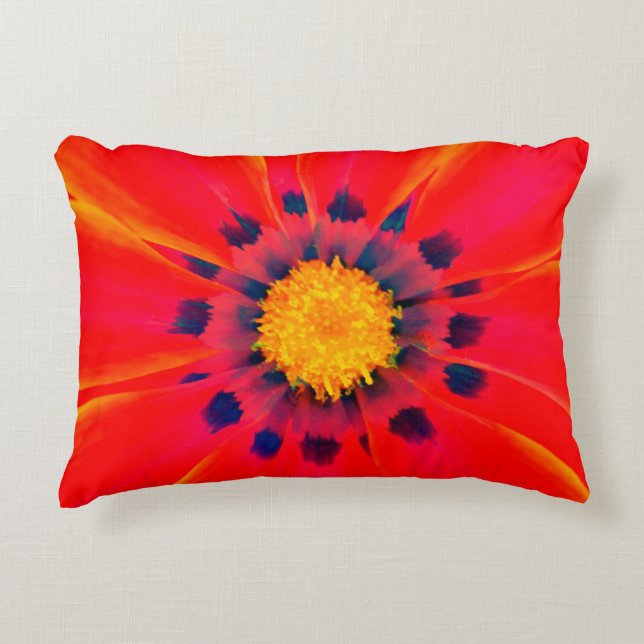 Almohada de acento (Anverso)