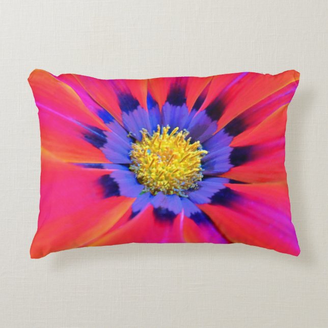 Almohada de acento (Anverso)