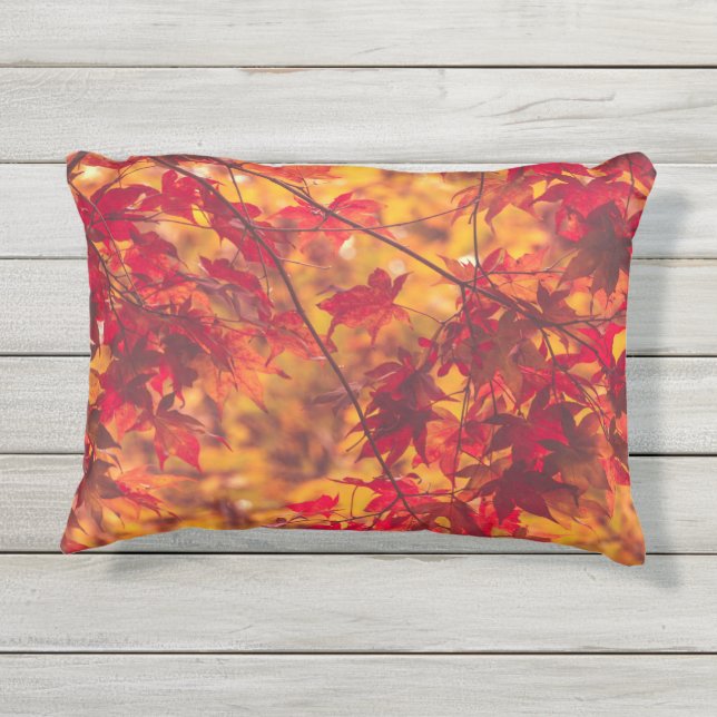 Almohada de acento al aire libre de hojas rojas de (Reverso)