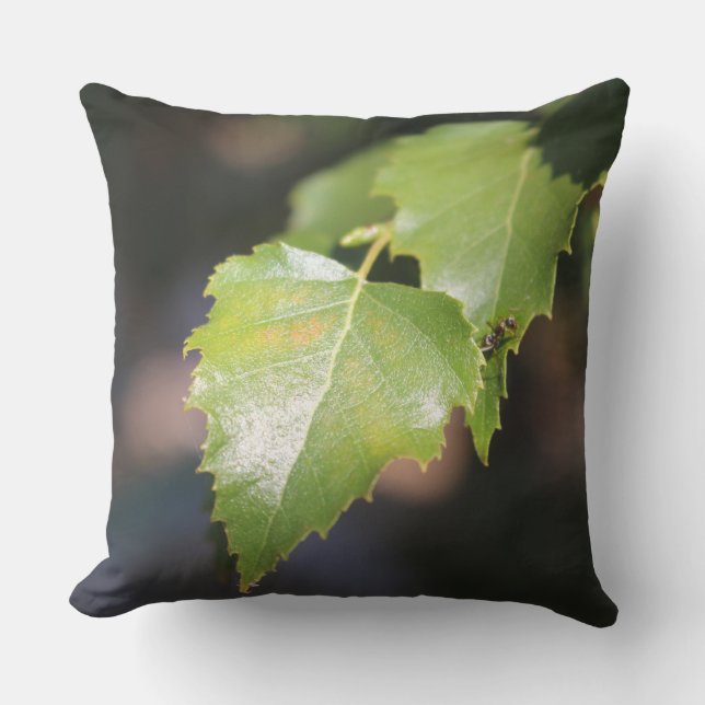 Almohada de acento de hojas de abedul en primavera (Anverso)