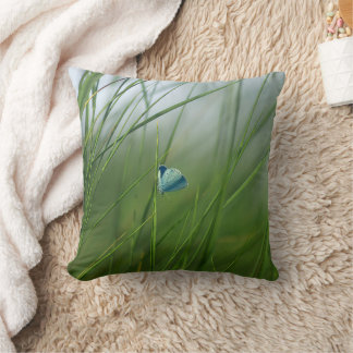 Almohada de acento de mariposa azul de naturaleza