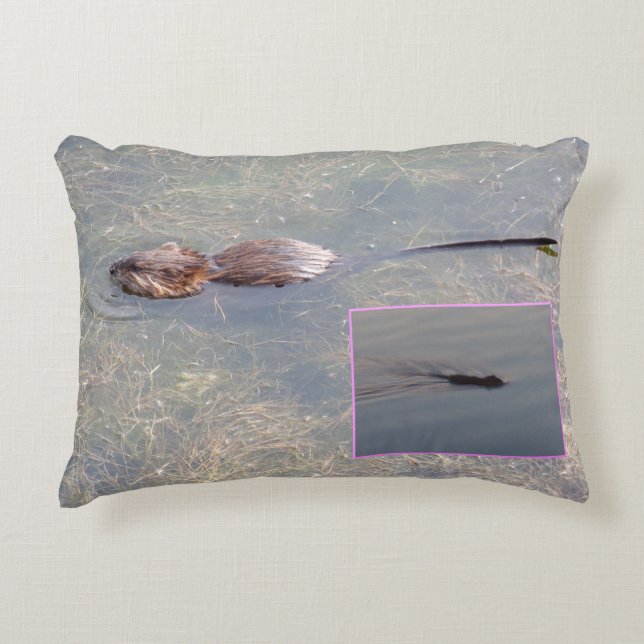 Almohada de acento de rata almizclera (Anverso)