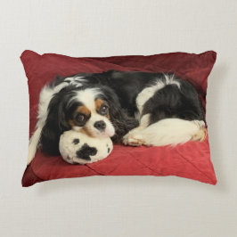 Almohada de acento del rey Charles Spaniel