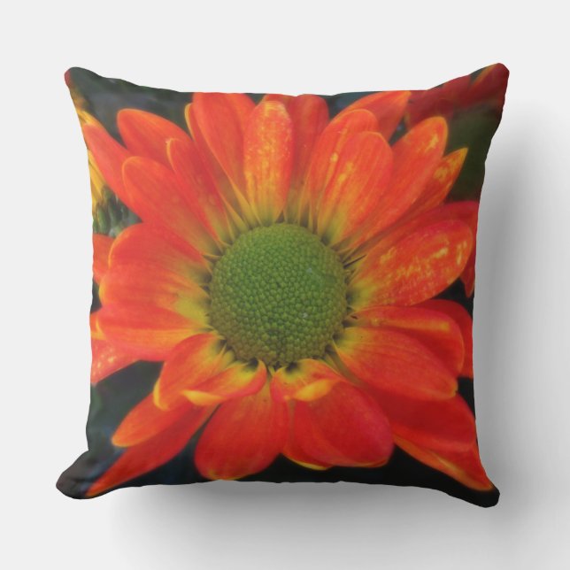 Almohada de acento exterior de Mums naranja (Anverso)