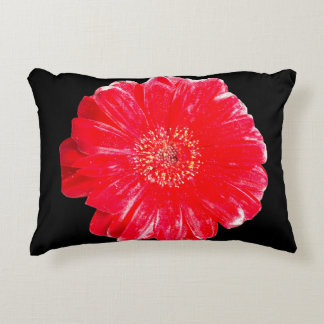 Almohada de acento negro con gerbera margarita roj