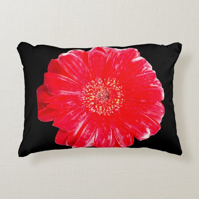 Almohada de acento negro con gerbera margarita roj (Anverso)