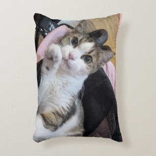 Almohada de acento rosa suave Dainty Doll Pink Bug