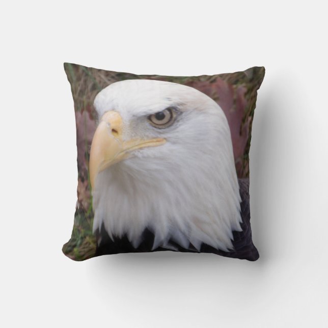 almohada de águila (Anverso)