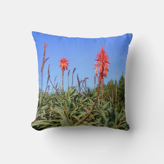 almohada de aloe salvaje (Anverso)