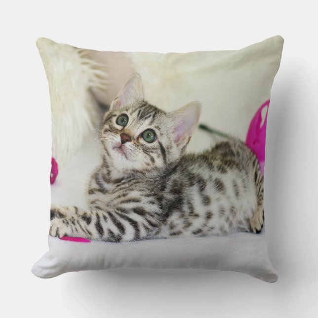almohada de amantes del gato (Anverso)