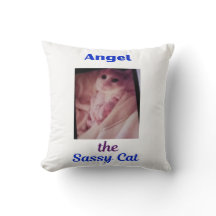 Almohada de Angel la Gata Sassy