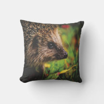 Almohada de animal erizo