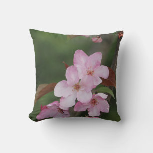 Almohada de Apple de cangrejo rosa reversible