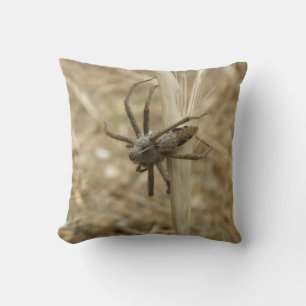 Almohada de araña crujiente