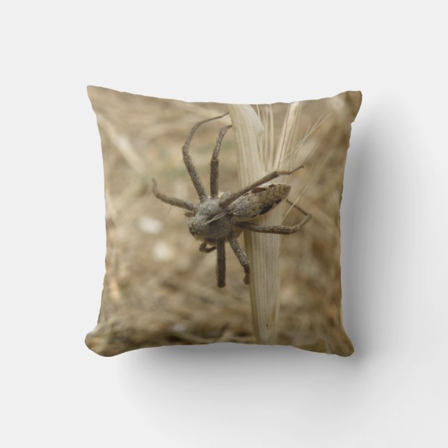 Almohada de araña crujiente (Anverso)