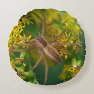 Almohada de Araña de Red de Cria