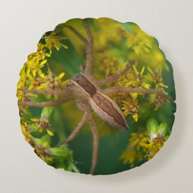 Almohada de Araña de Red de Cria (Anverso)