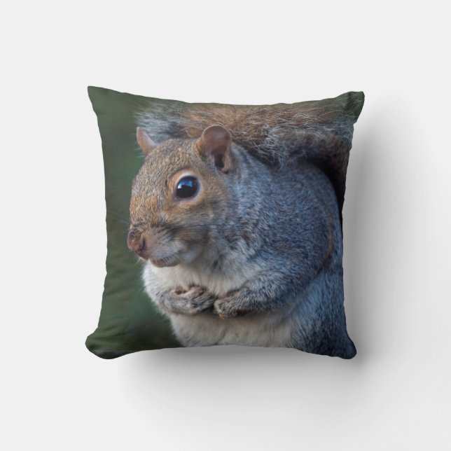 Almohada de ardilla gris (Anverso)