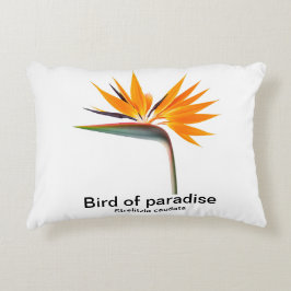 almohada de ave del paraíso strelitzia