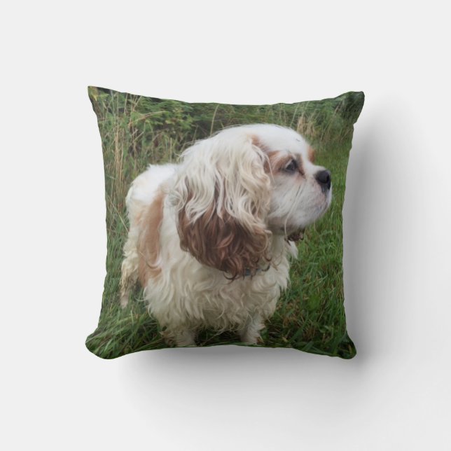 Almohada de Branson (Anverso)